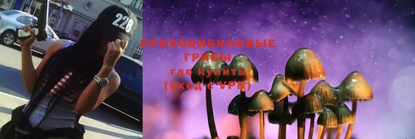 прущая мука Козловка