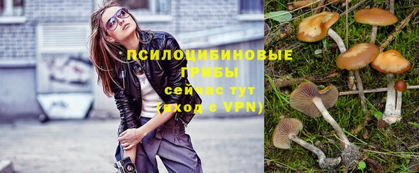 прущая мука Козловка