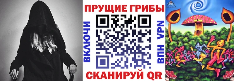 Псилоцибиновые грибы Psilocybe  дарк нет клад  Черкесск 