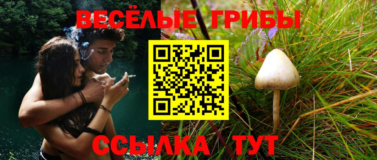 Псилоцибиновые грибы Magic Shrooms  Вход с VPN  Черкесск  Галлюциногенные грибы мухоморы 