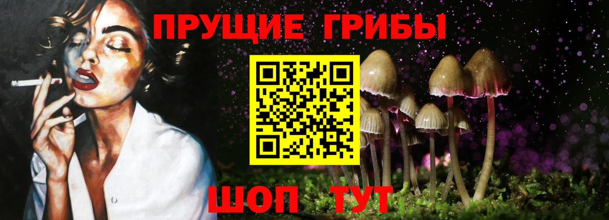 Галлюциногенные грибы Psilocybine cubensis Черкесск